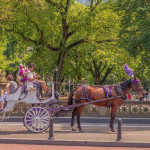紐約中央公園觀光馬車將走入歷史