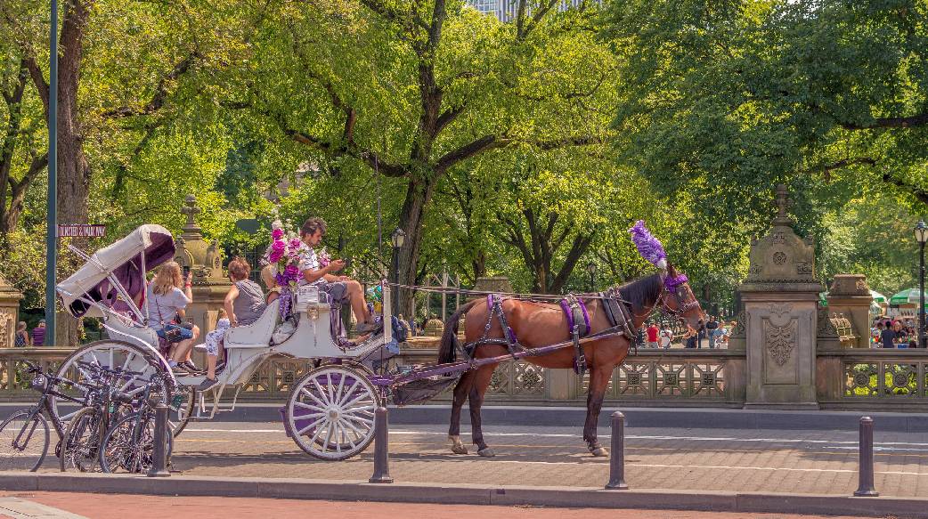 紐約中央公園觀光馬車將走入歷史