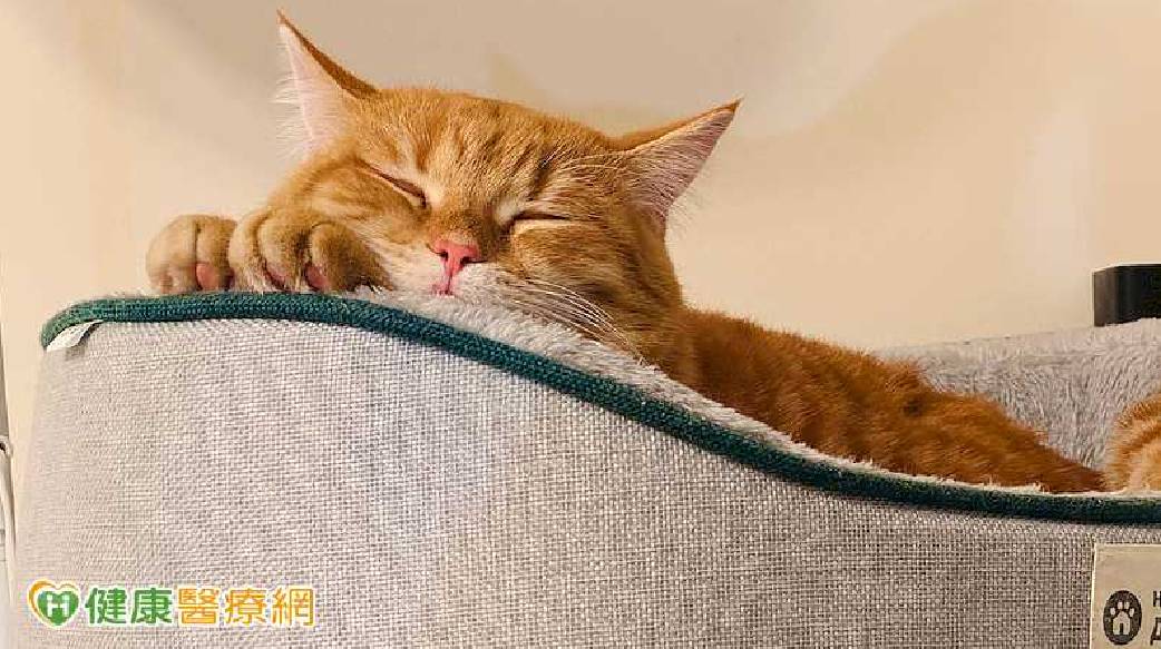 睡覺聽「粉紅噪音」可幫大腦清垃圾？研究揭關鍵　但先別急著照做