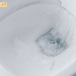 沖水恐噴「生物氣溶膠」！研究：最高恐逾1公尺　蓋馬桶蓋仍難阻隔